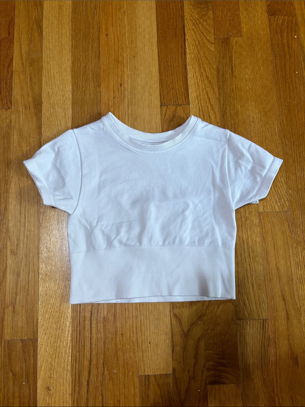 Aerie seamless sidewalk crop top